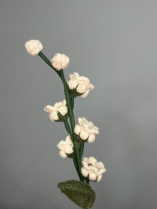 Lily of the Valley